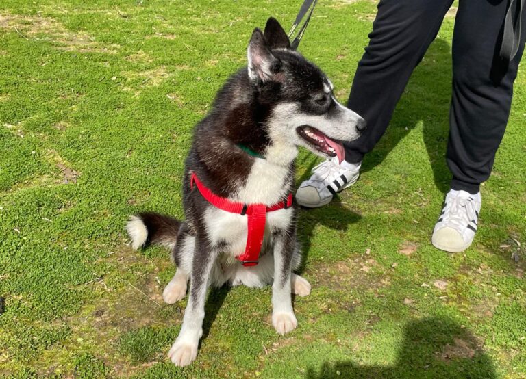 multimedia-foto88005-311-1