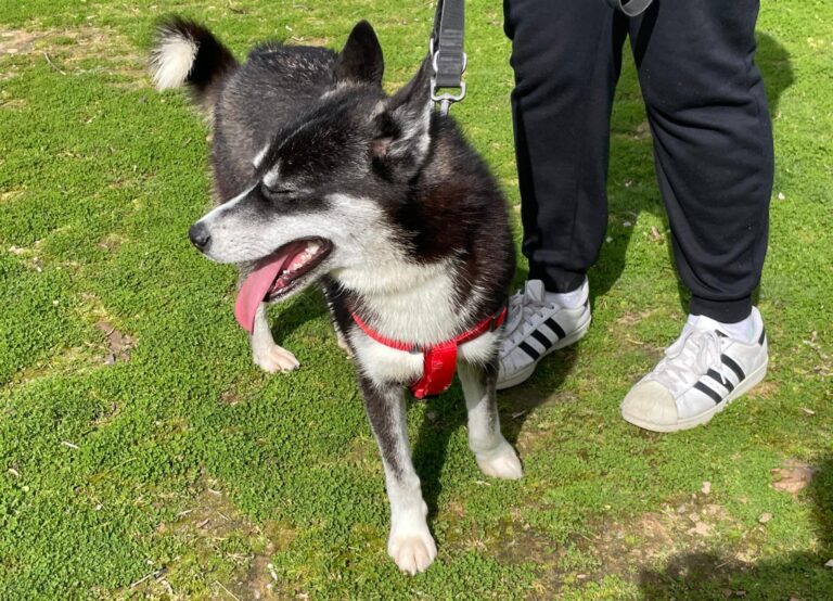 multimedia-foto88006-311-1