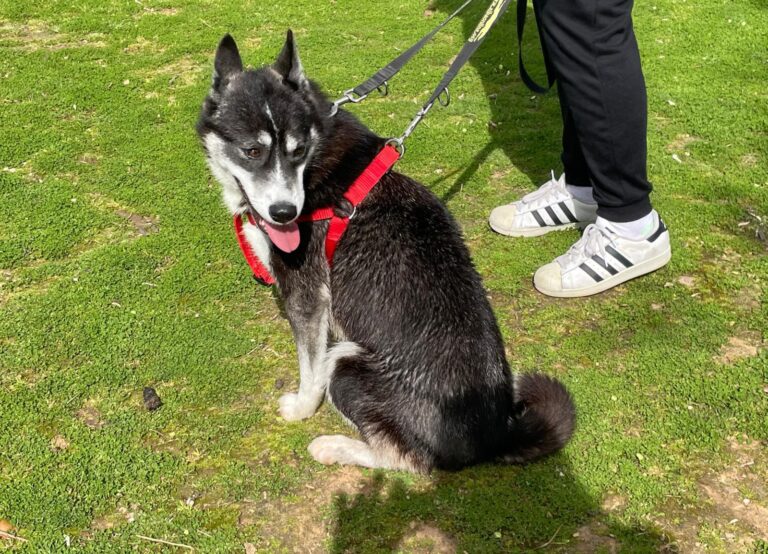 multimedia-foto88007-311-1