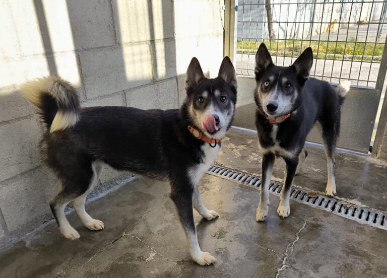 multimedia-foto88021-659-1