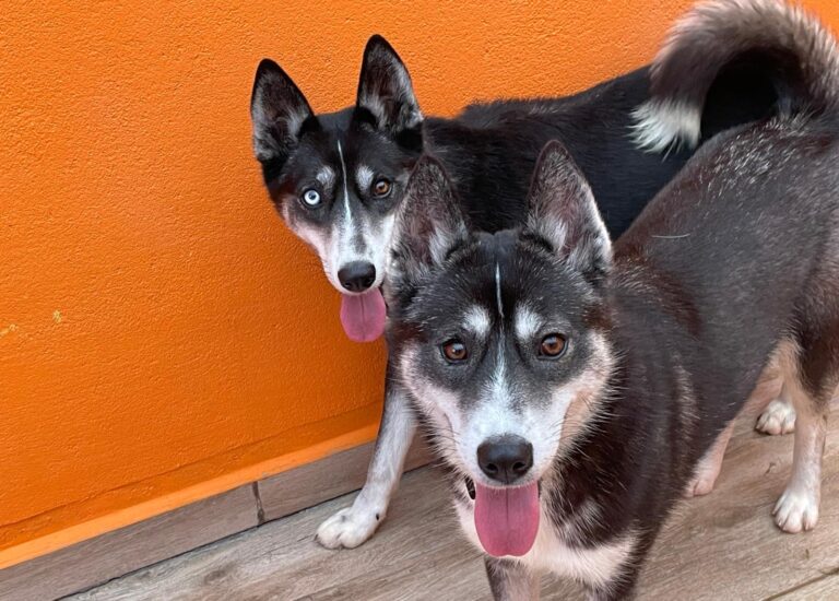 multimedia-foto88022-659-1