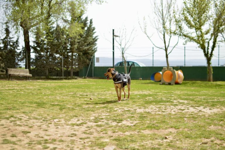 multimedia-foto88030-987-1