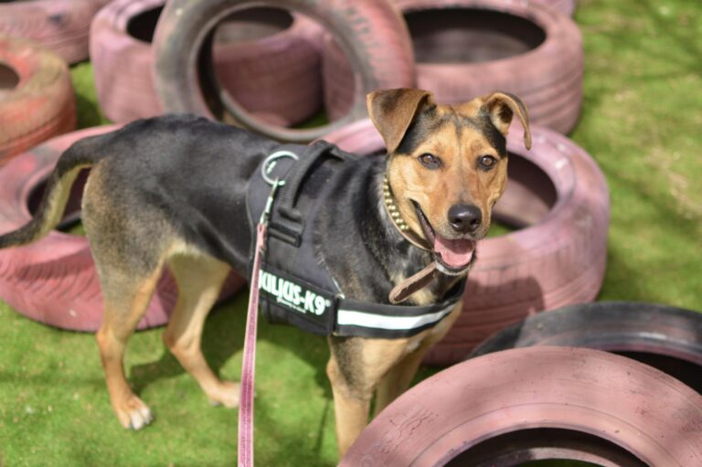 multimedia-foto88031-988-1