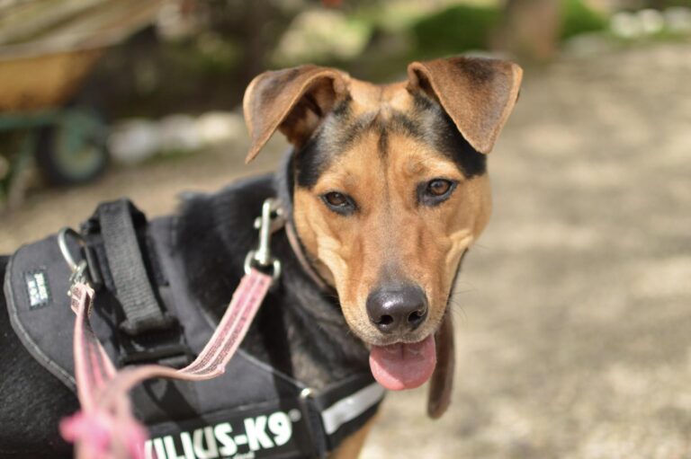 multimedia-foto88032-988-1