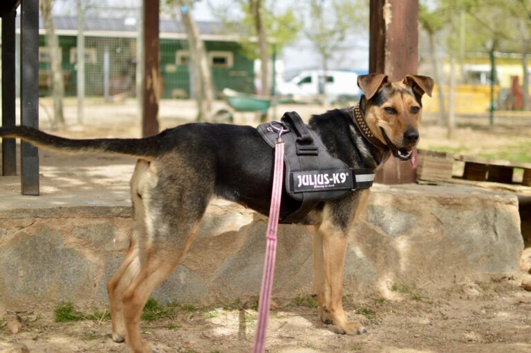 multimedia-foto88033-988-1