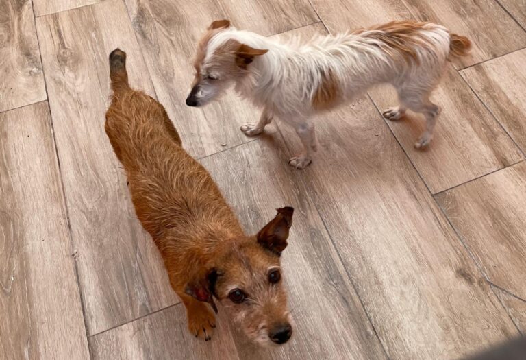 multimedia-foto88037-300-1