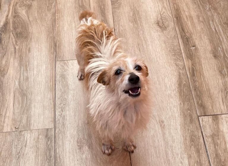 multimedia-foto88038-300-1