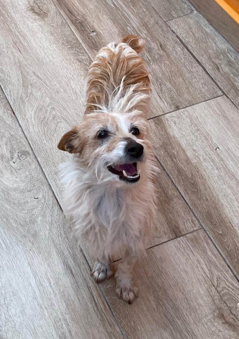 multimedia-foto88039-300-1