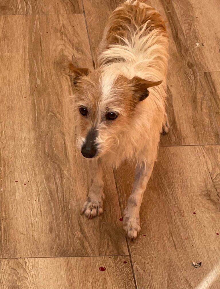 multimedia-foto88041-301-1