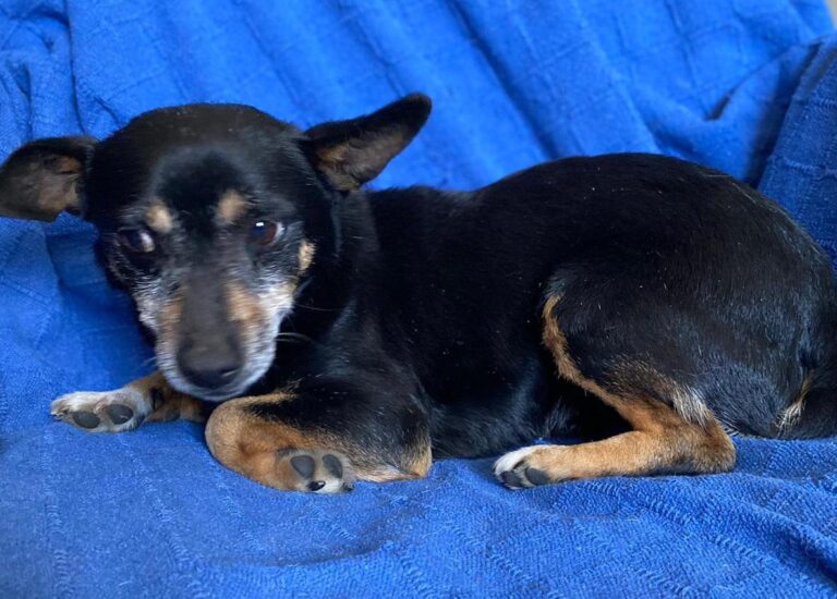 multimedia-foto88051-846-1