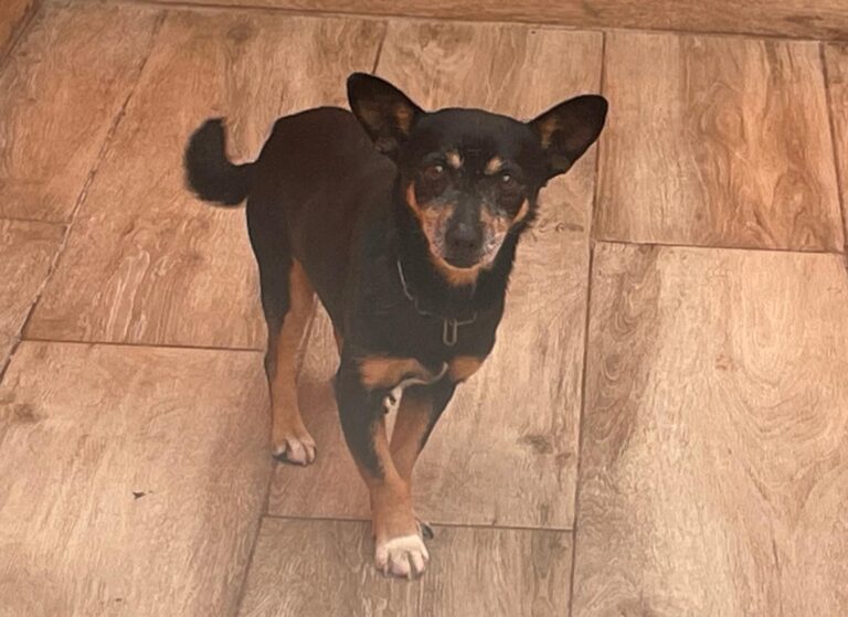 multimedia-foto88053-846-1