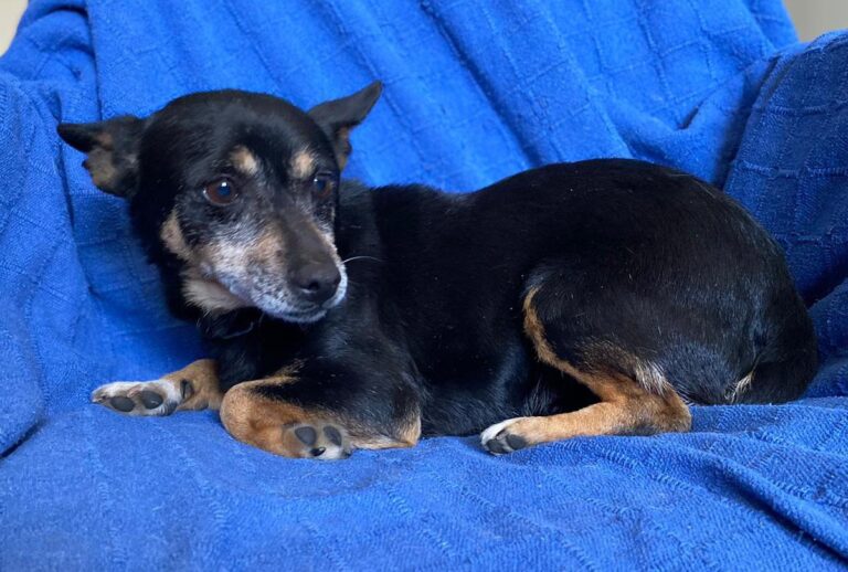 multimedia-foto88056-847-1