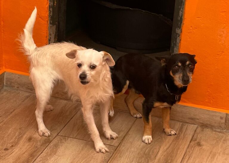 multimedia-foto88057-847-1