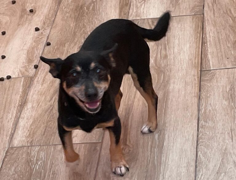 multimedia-foto88058-848-1