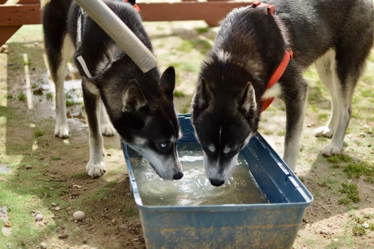 multimedia-foto88077-336-1