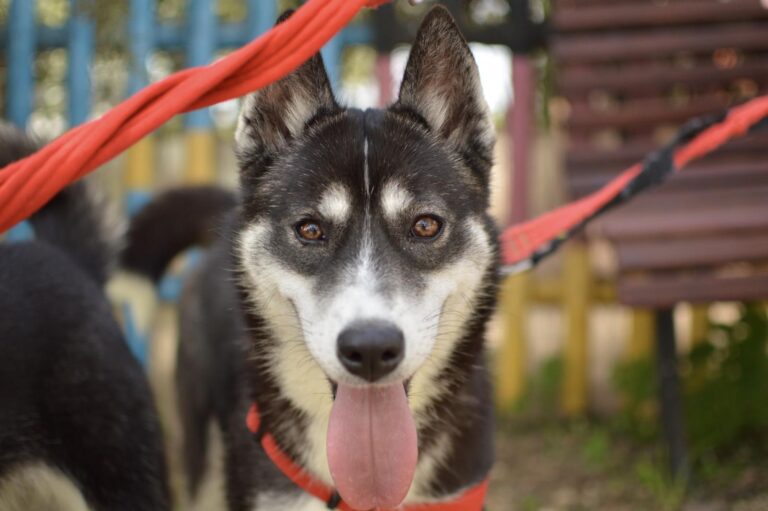 multimedia-foto88078-337-1