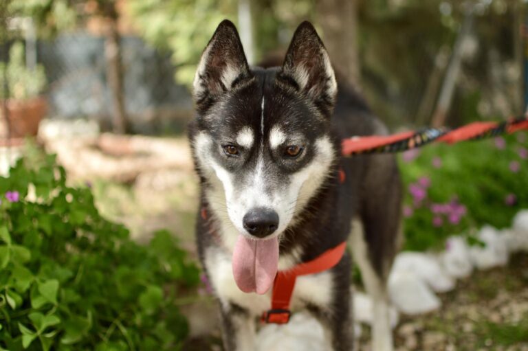 multimedia-foto88079-337-1