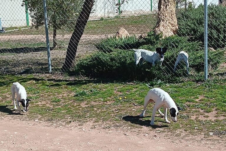 multimedia-foto88081-666-1