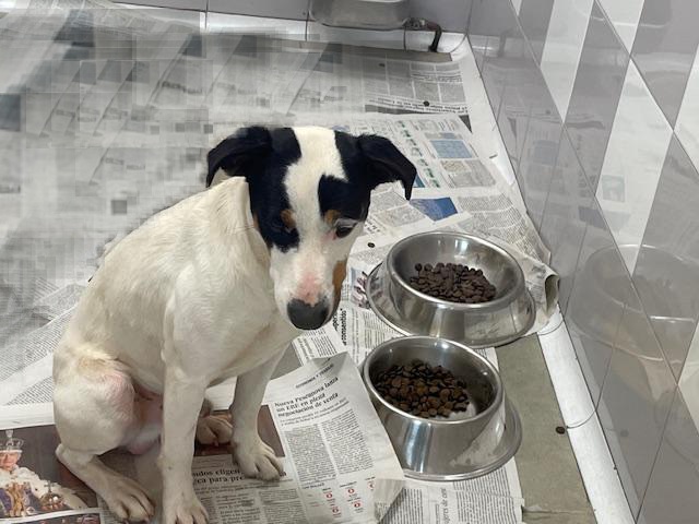 multimedia-foto88084-667-1