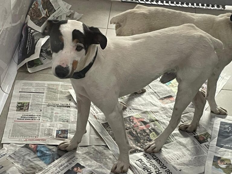 multimedia-foto88085-667-1