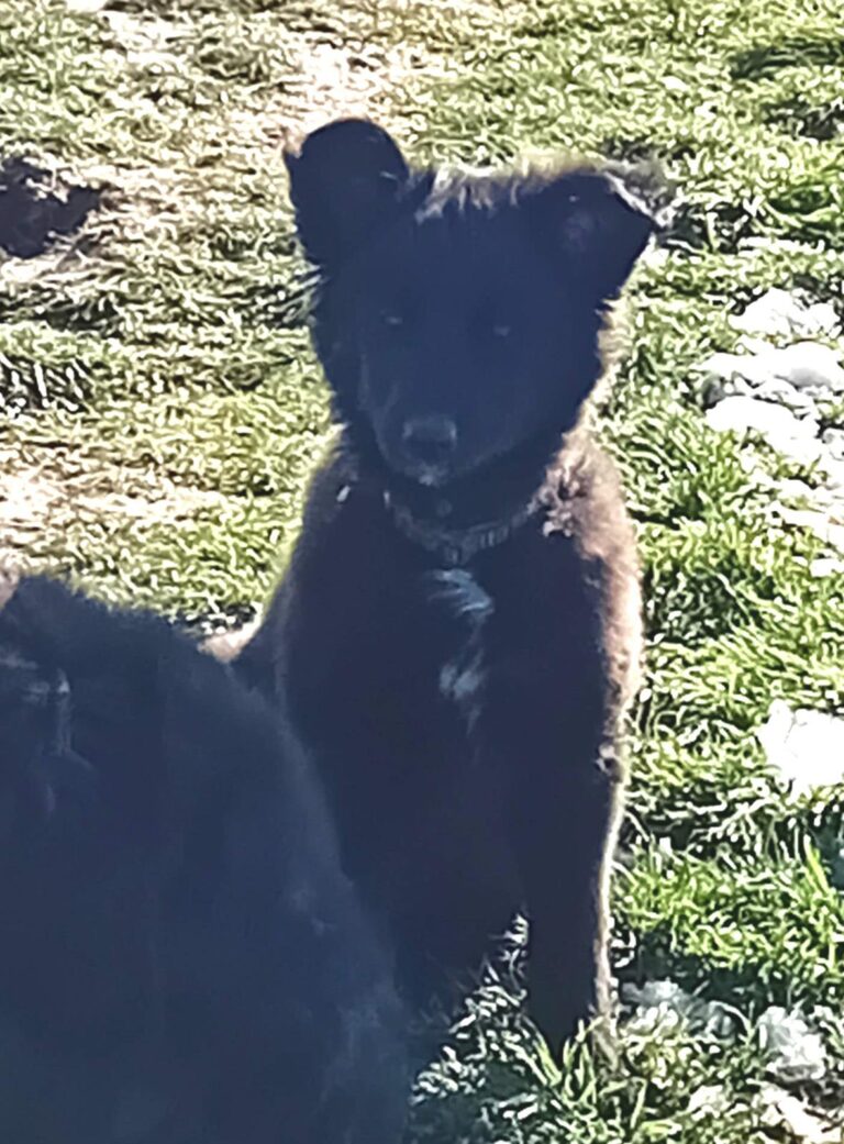 multimedia-foto88111-868-1