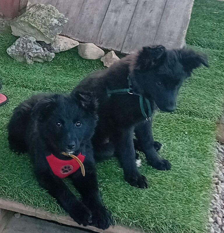 multimedia-foto88112-868-1