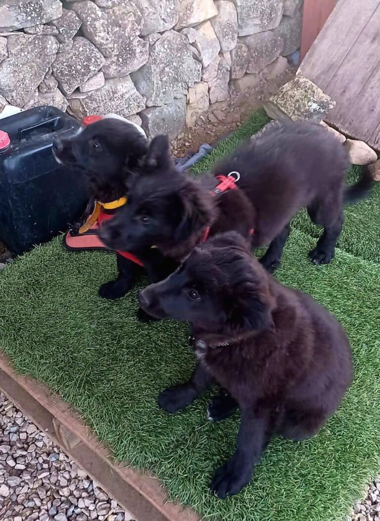 multimedia-foto88113-869-1