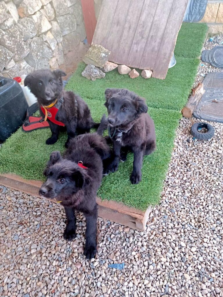 multimedia-foto88114-869-1