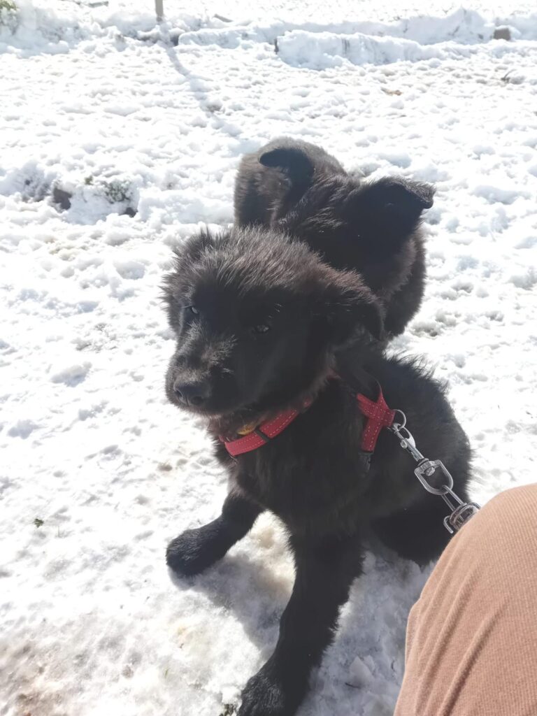 multimedia-foto88115-898-1