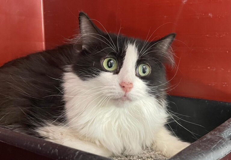 multimedia-foto88122-583-1