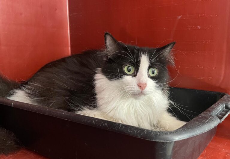 multimedia-foto88123-583-1