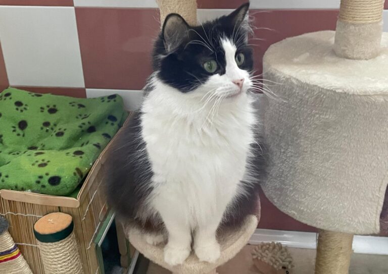 multimedia-foto88124-583-1