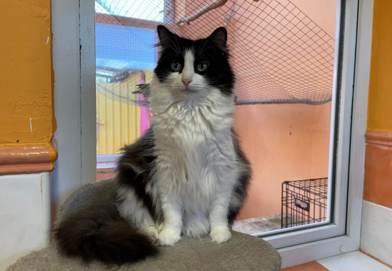 multimedia-foto88125-583-1