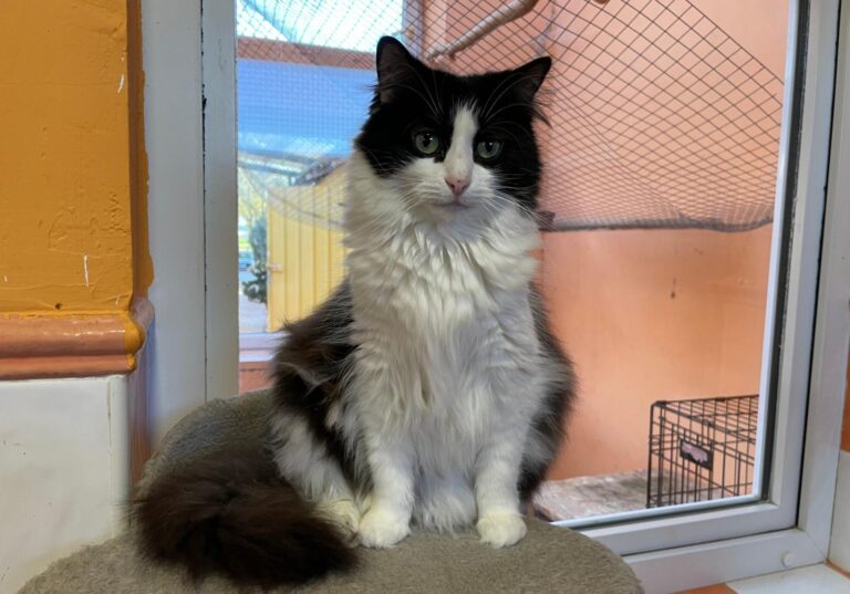 multimedia-foto88126-583-1