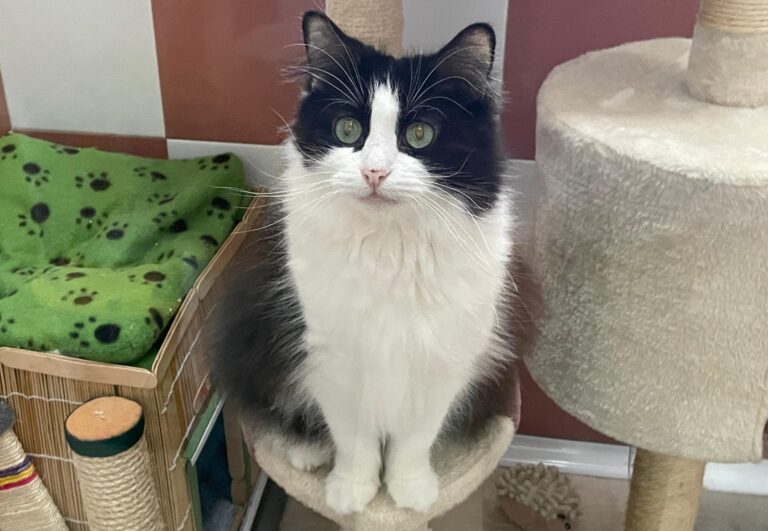 multimedia-foto88127-584-1