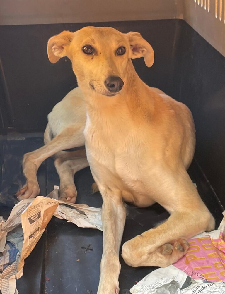 multimedia-foto88133-850-1