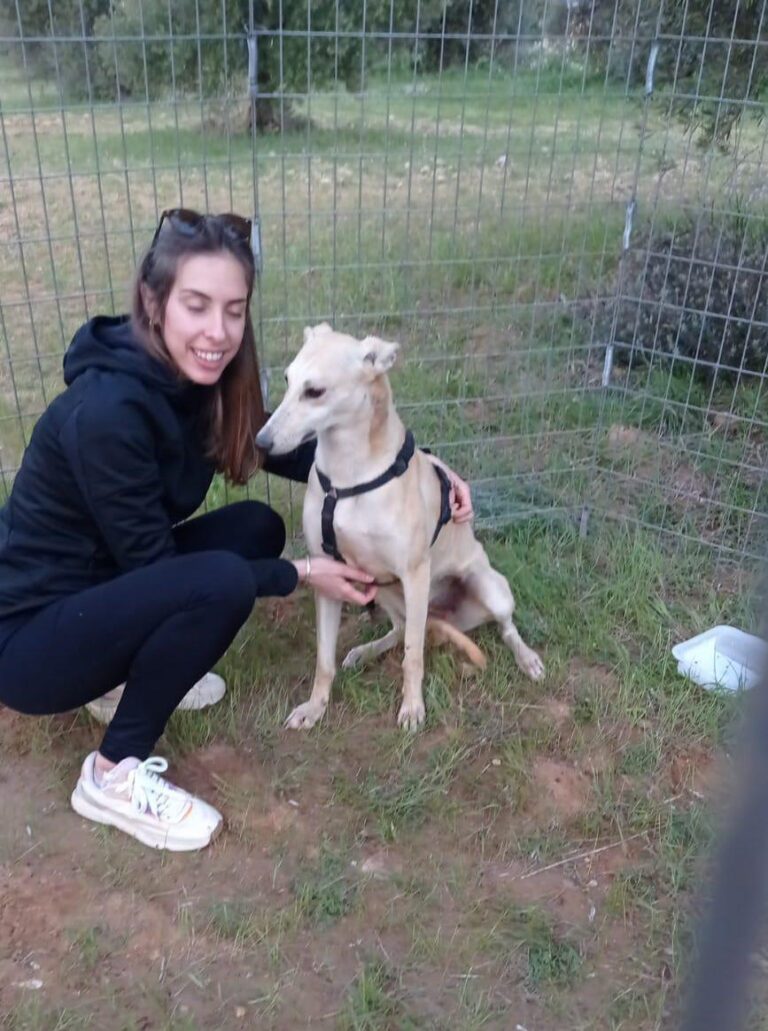 multimedia-foto88135-851-1