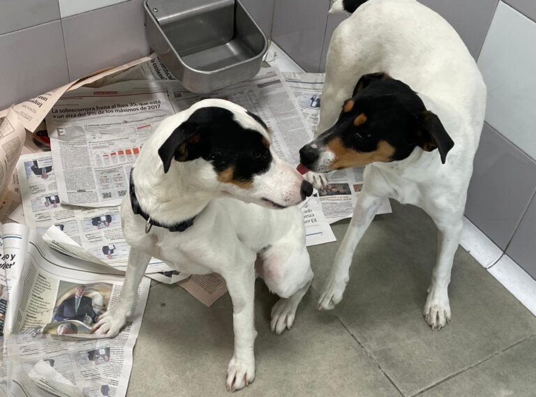 multimedia-foto88149-913-1