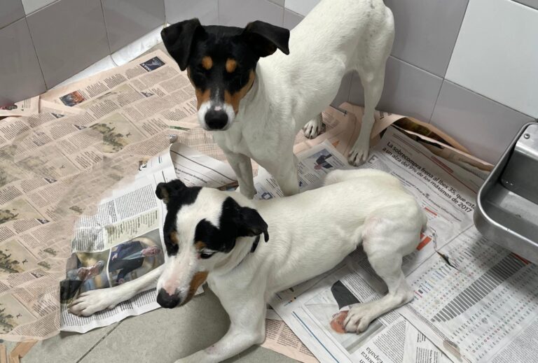 multimedia-foto88154-914-1