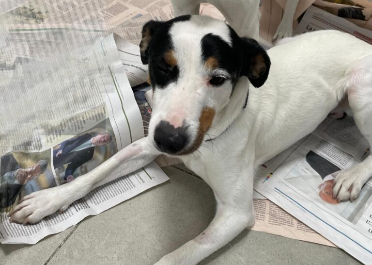 multimedia-foto88155-914-1