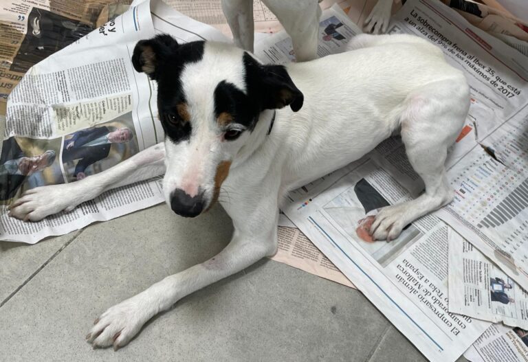 multimedia-foto88156-914-1