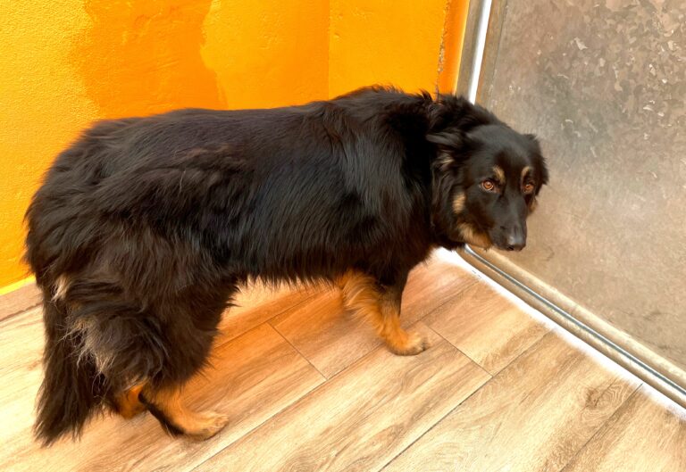 multimedia-foto88160-140-1