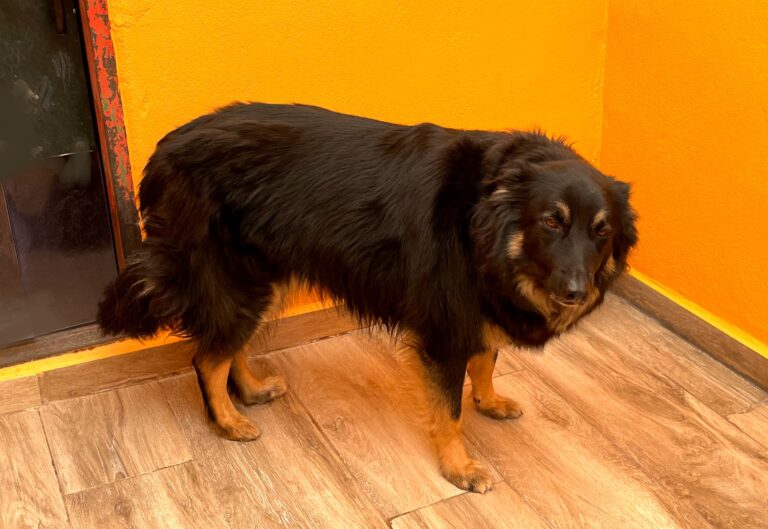 multimedia-foto88161-140-1