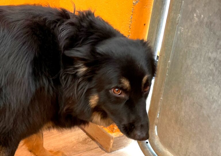 multimedia-foto88162-141-1