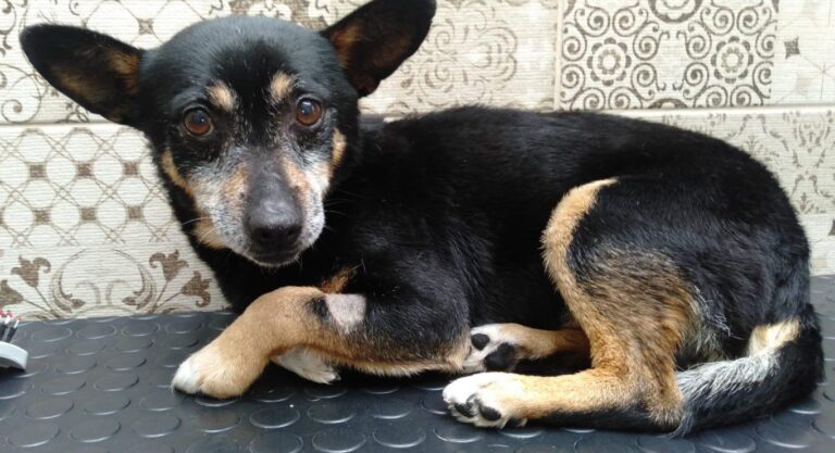 multimedia-foto88191-470-1