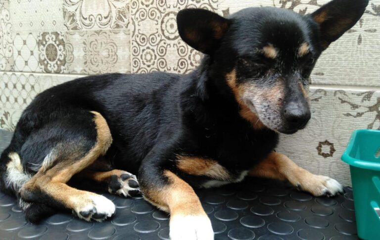 multimedia-foto88192-471-1