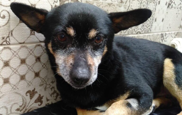 multimedia-foto88193-471-1