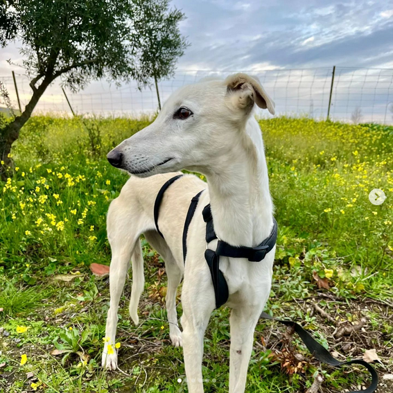 multimedia-foto88194-806-1