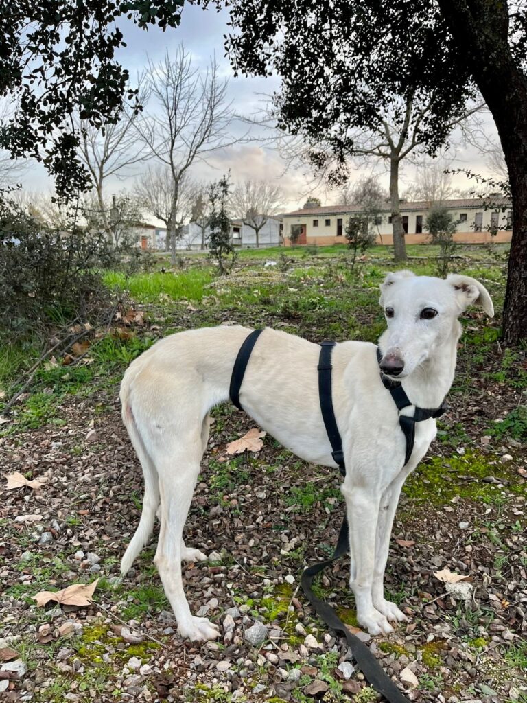 multimedia-foto88195-806-1