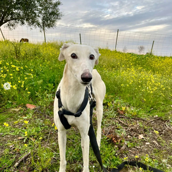 multimedia-foto88196-807-1